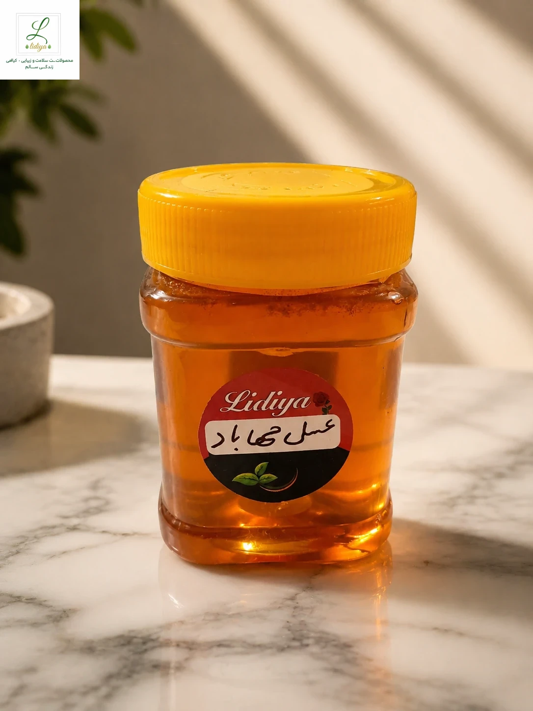 عسل طبیعی مهاباد ( نیم کیلویی)