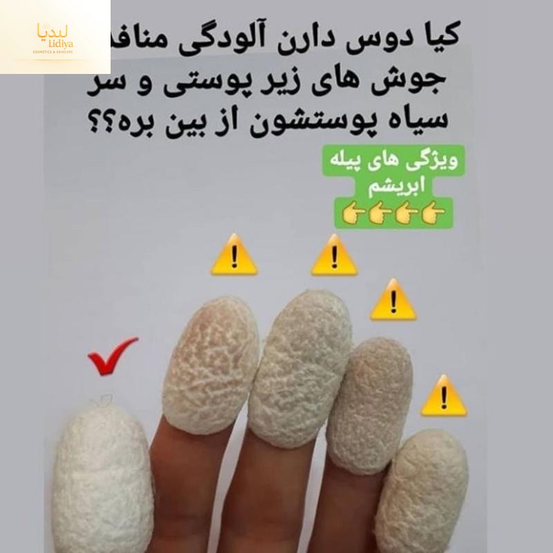 پیله ابریشم